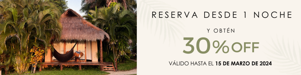 BANNERWEB_MINNOCHES (1)